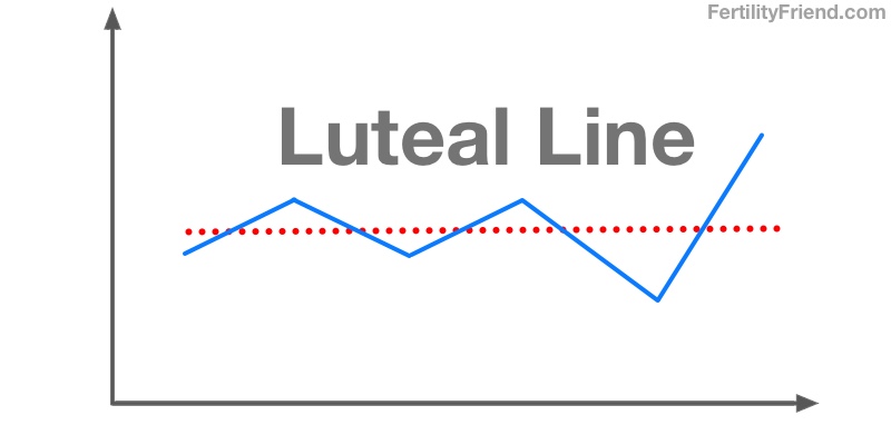 How to pronounce luteal phase